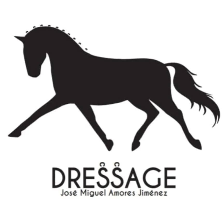 453342111 1935518533621850 7891662069211349627 n